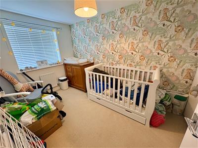 Picture 7